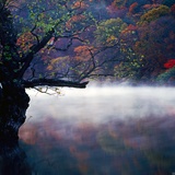 dailyPhoto8