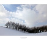dailyPhoto3