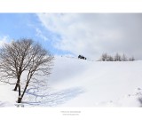 dailyPhoto20