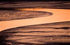 dailyPhoto15