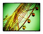 dailyPhoto17