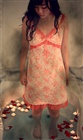 dailyPhoto38