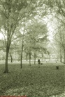 dailyPhoto13