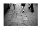 dailyPhoto32