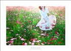 dailyPhoto12