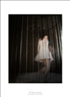 dailyPhoto12