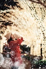 dailyPhoto17