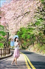 dailyPhoto8