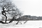 dailyPhoto9