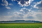 dailyPhoto7