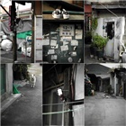 dailyPhoto5