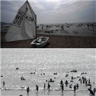 dailyPhoto40