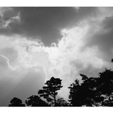 dailyPhoto31