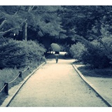 dailyPhoto29