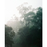 dailyPhoto25