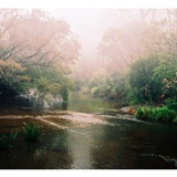 dailyPhoto7