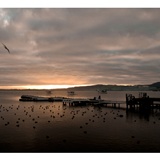 dailyPhoto24