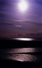 dailyPhoto7