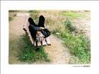 dailyPhoto10