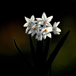 dailyPhoto29