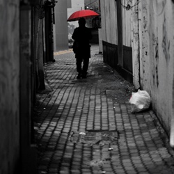 dailyPhoto28