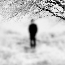 dailyPhoto30
