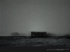 dailyPhoto8