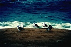 dailyPhoto30