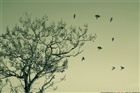 dailyPhoto17
