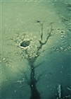 dailyPhoto35
