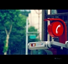 dailyPhoto10