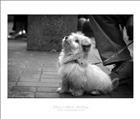 dailyPhoto27