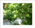 photo1
