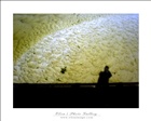 dailyPhoto15