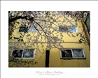 dailyPhoto5