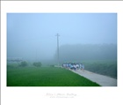 dailyPhoto37
