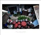 dailyPhoto1