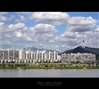 dailyPhoto20