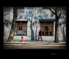 dailyPhoto35