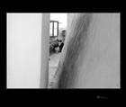 dailyPhoto4
