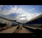 dailyPhoto31
