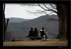 dailyPhoto39