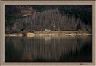 dailyPhoto27