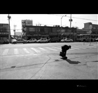 dailyPhoto34