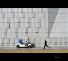 dailyPhoto1