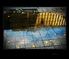 dailyPhoto38