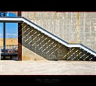 dailyPhoto12