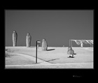 dailyPhoto8