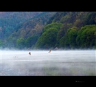 dailyPhoto8
