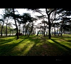 dailyPhoto8